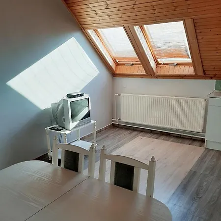 Viktoria Apartman Heviz 公寓 Hévíz