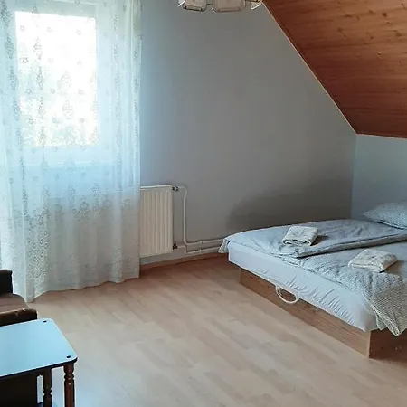 公寓 Viktoria Apartman Heviz Hévíz